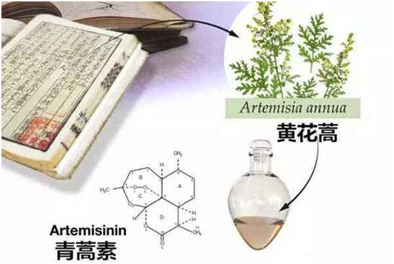 星空官网,星空（中国）：向中医药看齐，与世界共享中医药文化(图1)